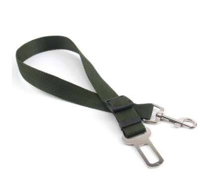 Everyday Dog Leash
