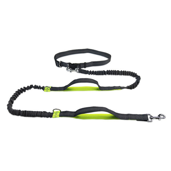 Hands-Free Jogging Leash