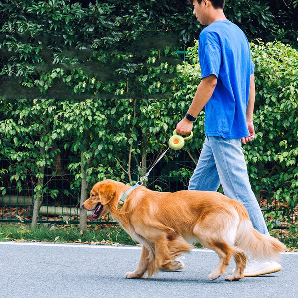 Retractable Dog Leash
