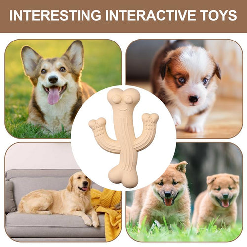 Cactus Dog Chew Toy