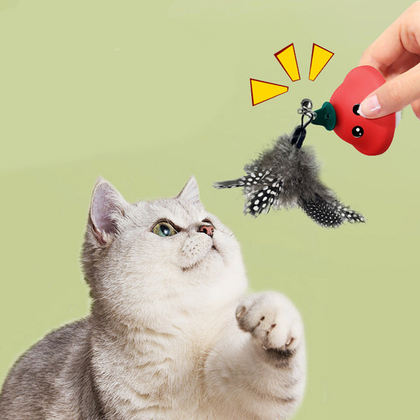 Suction Cup Cat Teaser