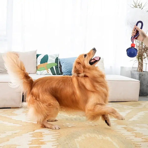 Dog Ball on a Rope